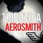 Tributo a Aerosmith Albumcover
