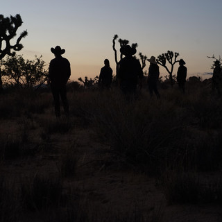 Sugarfoot Photo