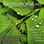 Healing Muses