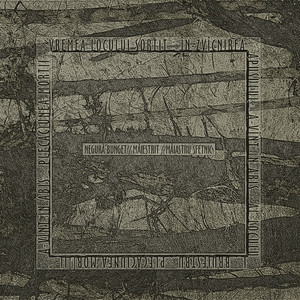 Măiestrit cover