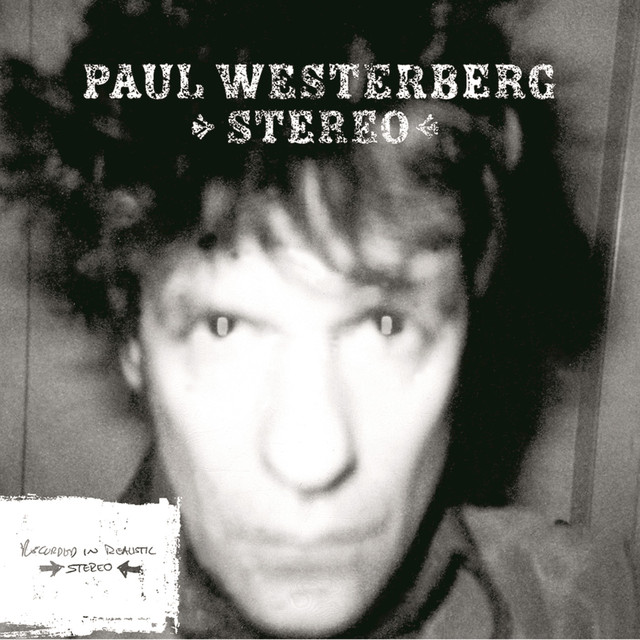Stereo cover