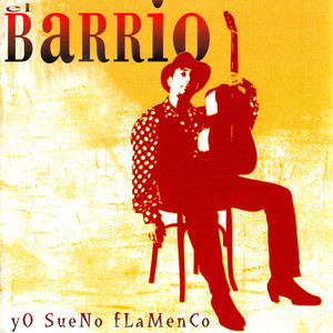 Yo sueno flamenco cover