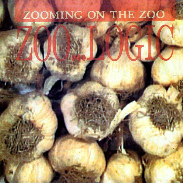 Zooming on the Zoo Photo