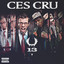 13 cover