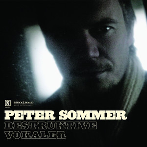 Destruktive vokaler cover