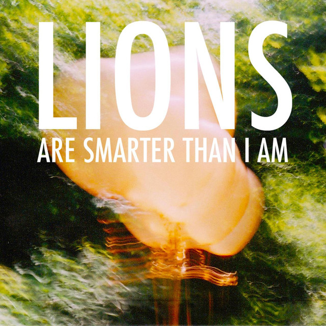 Lions Are Smarter Than I Am Photo
