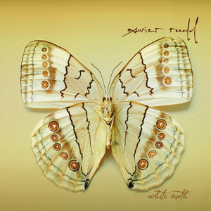 White Moth album