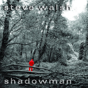 Shadowman album