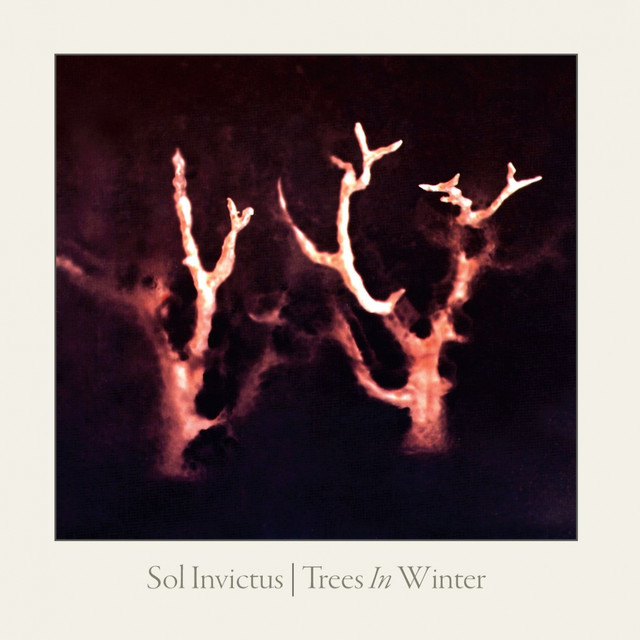 Trees In Winter cover