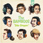 Side Stepper cover
