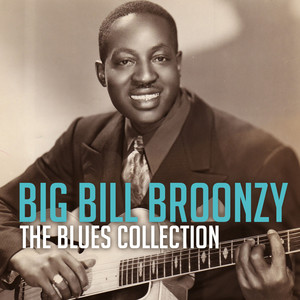 The Blues Collection: Big Bill Broonzy album