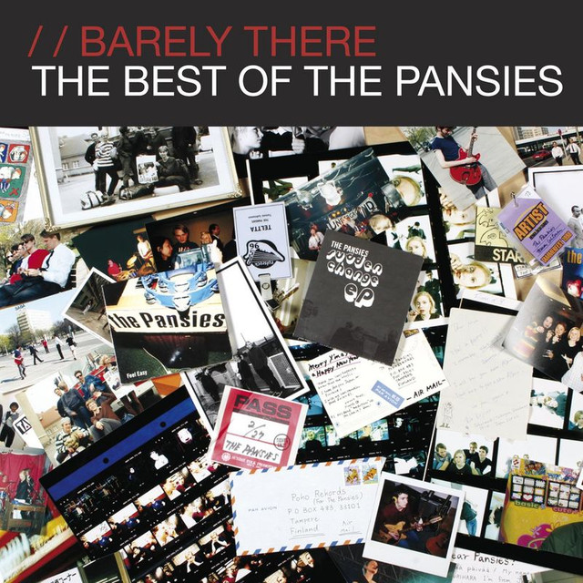 The Pansies Photo
