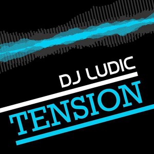DJ Ludic
