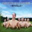 Nyvälle Albumcover