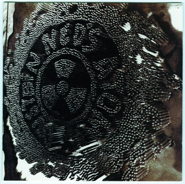 Brainbloodvolume cover