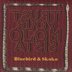 Trust Your Mojo, Sista Albumcover