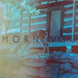 Mornings Photo