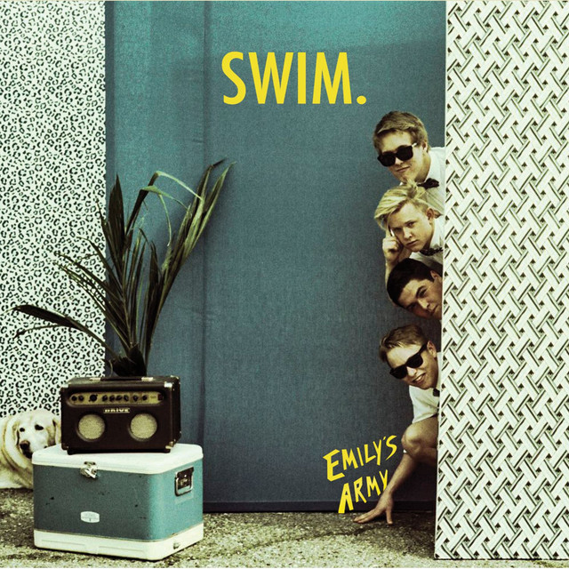 Swim cover