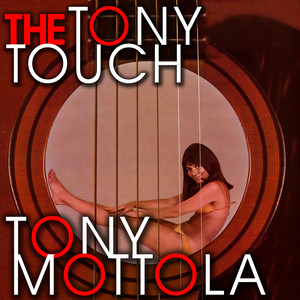The Tony Touch album