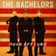 The Bachelors Have Arrived cover