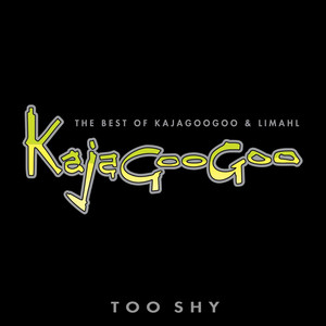 The Best Of album