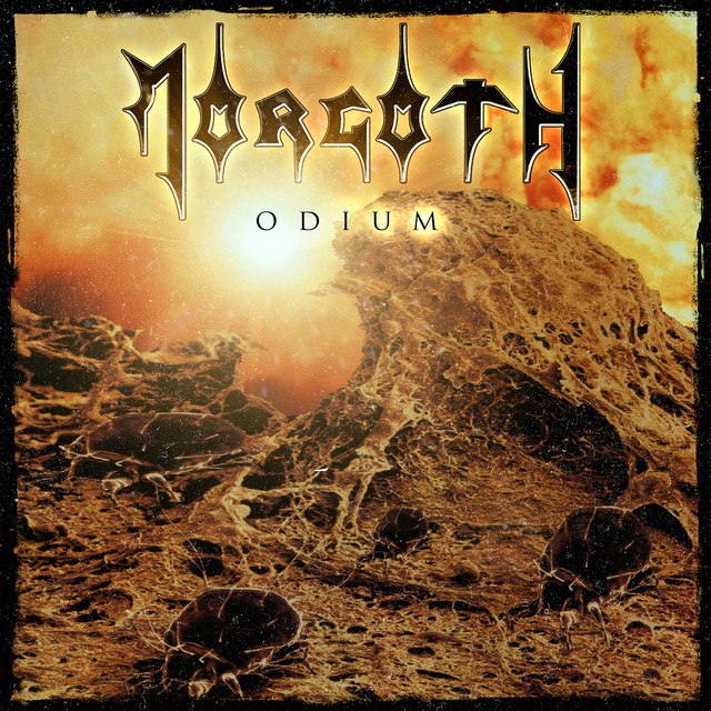 Odium cover