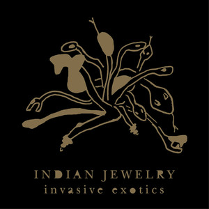 Invasive Exotics cover