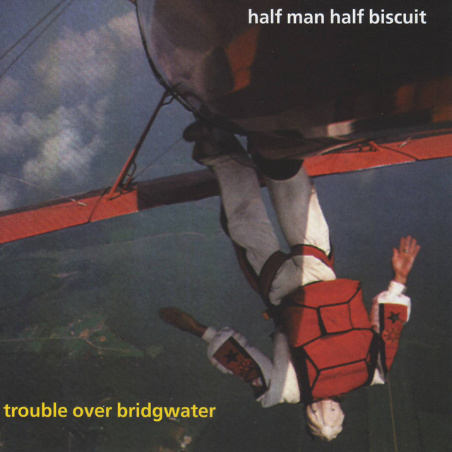 Trouble Over Bridgewater cover