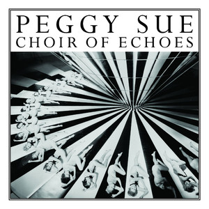 Choir of Echoes cover