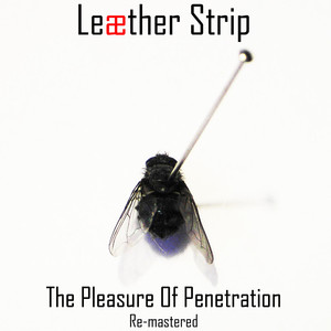 The Pleasure of Penetration (remastered) album