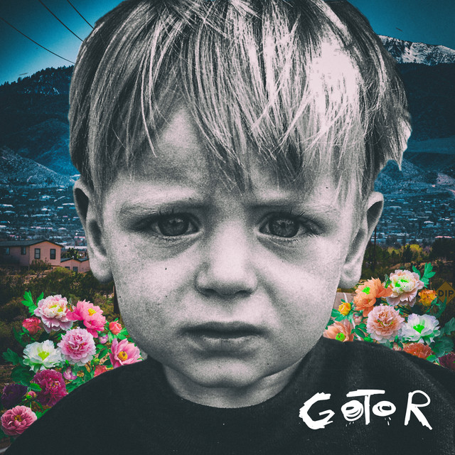 Gotor cover