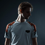 Erlandsson profile