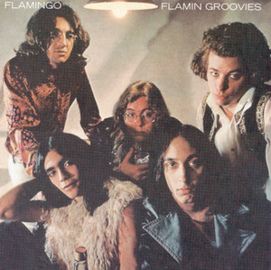 Flamingo cover
