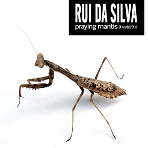 Praying Mantis album