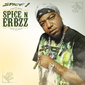 Spice N Erbzz album