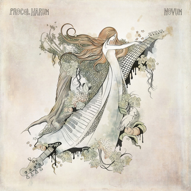 Novum cover