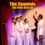 The Very Best Of The Spaniels Albumcover