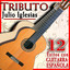 Tributo a Julio Iglesias, 12 Éxitos Con Guitarra Española Albumcover