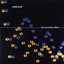 The Proximity Effect cover