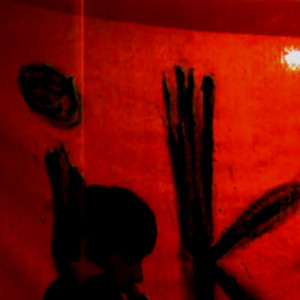 菊山箇醸 其之一 (Kikuzankajo Section I) Albumcover