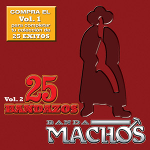 25 Bandazos de Machos (Vol. 2) [USA] album