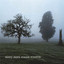 Misty Morn Albumcover