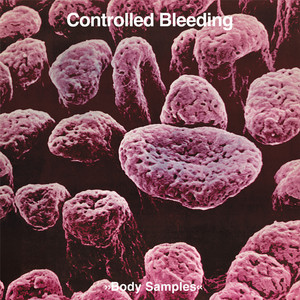 Body Samples cover
