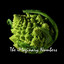 The Imaginary Numbers Albumcover