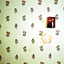 Voices Albumcover