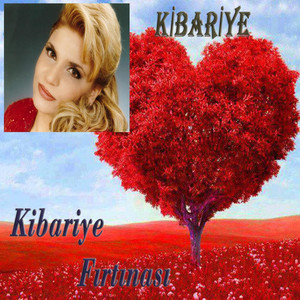 Kibariye Fırtınası cover