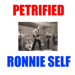 Petrified album