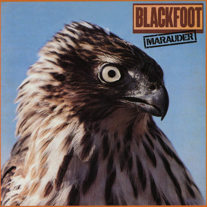 Marauder album
