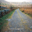 The Wide World Over cover