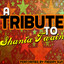 A Tribute to Shania Twain Albumcover